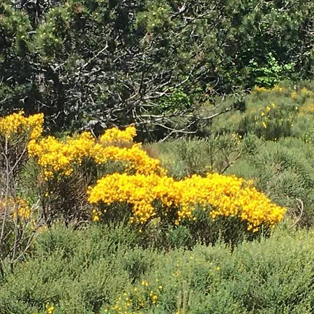 Au Coeur Du Parc National Des Cevennes