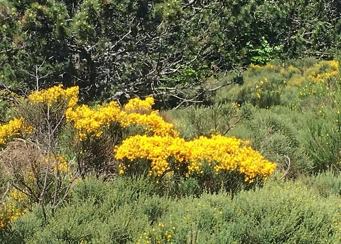 Au Coeur Du Parc National Des Cevennes